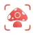 Picture Mushroom: Identifier