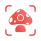 Picture Mushroom: Identifier