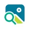 Anime Pic Search - Minimalist
