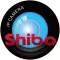 Shibo3IPCam
