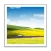 iView