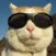 Uncle Cat