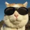 Uncle Cat