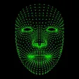 Face Mesh