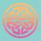 Self Health Institute