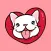 Boo The French Bulldog