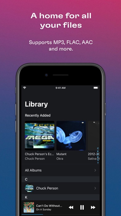 Doppler MP3 & FLAC Player Screenshots