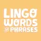 Lingo Words and Phrases
