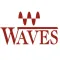 Waves Shiv R. Goel