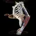3Dissect Upper Limb