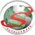 STK