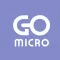 Micro Quest