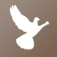 Wesleyan Theological Society