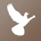 Wesleyan Theological Society