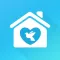 Homing-Pigeon