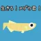 生きろ!メダカ君!