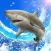 Wild Shark Fishing