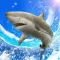 Wild Shark Fishing