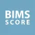 BIMS Score Calculator