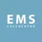 Elderly Mobility Scale (EMS)