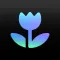 PixelWiz: AI Photo Editor