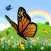Coloring Book: Butterfly