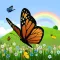 Coloring Book: Butterfly