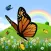 Coloring Book: Butterfly ! Coloring Pages for Toddlers