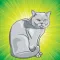 Coloring Book : Cats & Kittens