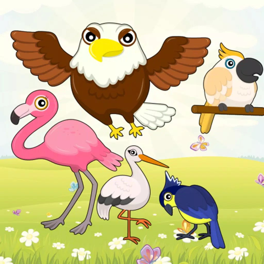 Flying Birds Match Games for Toddlers and Kids