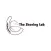 The Shoeing Lab