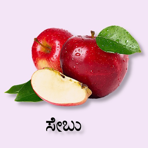 Learn Kannada Flashcards Learn Kannada Flashcards