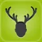 Stag Cards