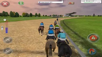 صور Jockey Rush Horse Racing UK