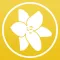 Saint Joseph: Catholic Meditations for Every Day in a Month
