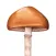 Mushroom Guide - North America