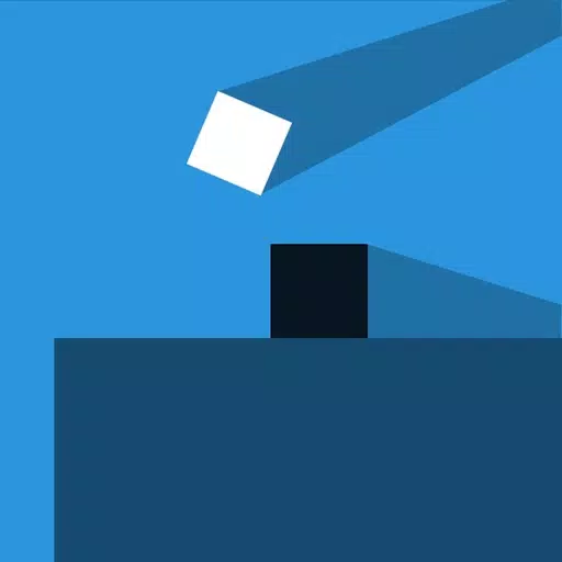 Shadow Blocks