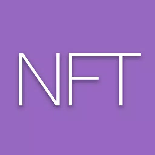 Number Format Translator