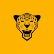 The Great Leopards