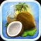 Coconut Oil