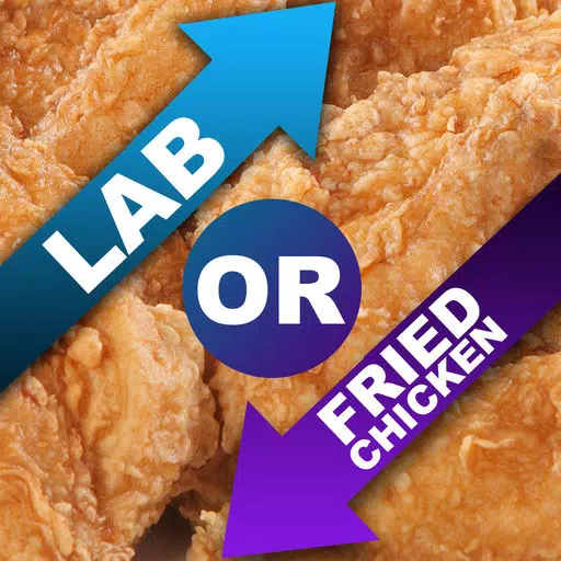 Lab Or Fried Chicken Lab Or Fried Chicken