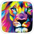 Colorful Lion Theme