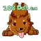 108DOG.COM