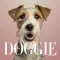 A+ The Doggie Magazine App - Dog Training, Obedience, Tips, Guides, Games & More For Your Puppy