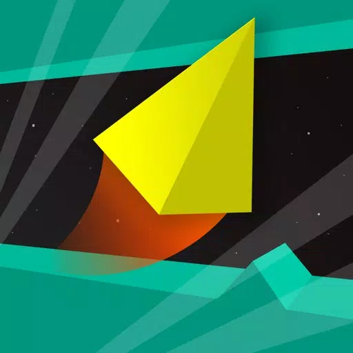 Shape Space Shape Space