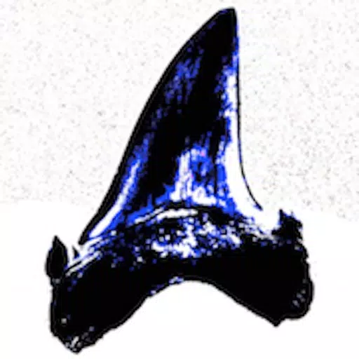 FossilApp FossilApp