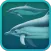 Dolphins 3D