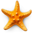 Sandy Beach 3D