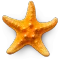 Sandy Beach 3D