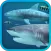 Sharks 3D